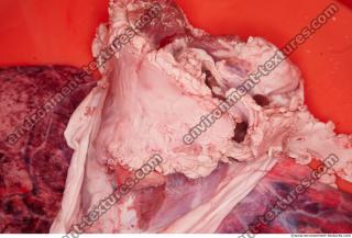 RAW meat pork 0221